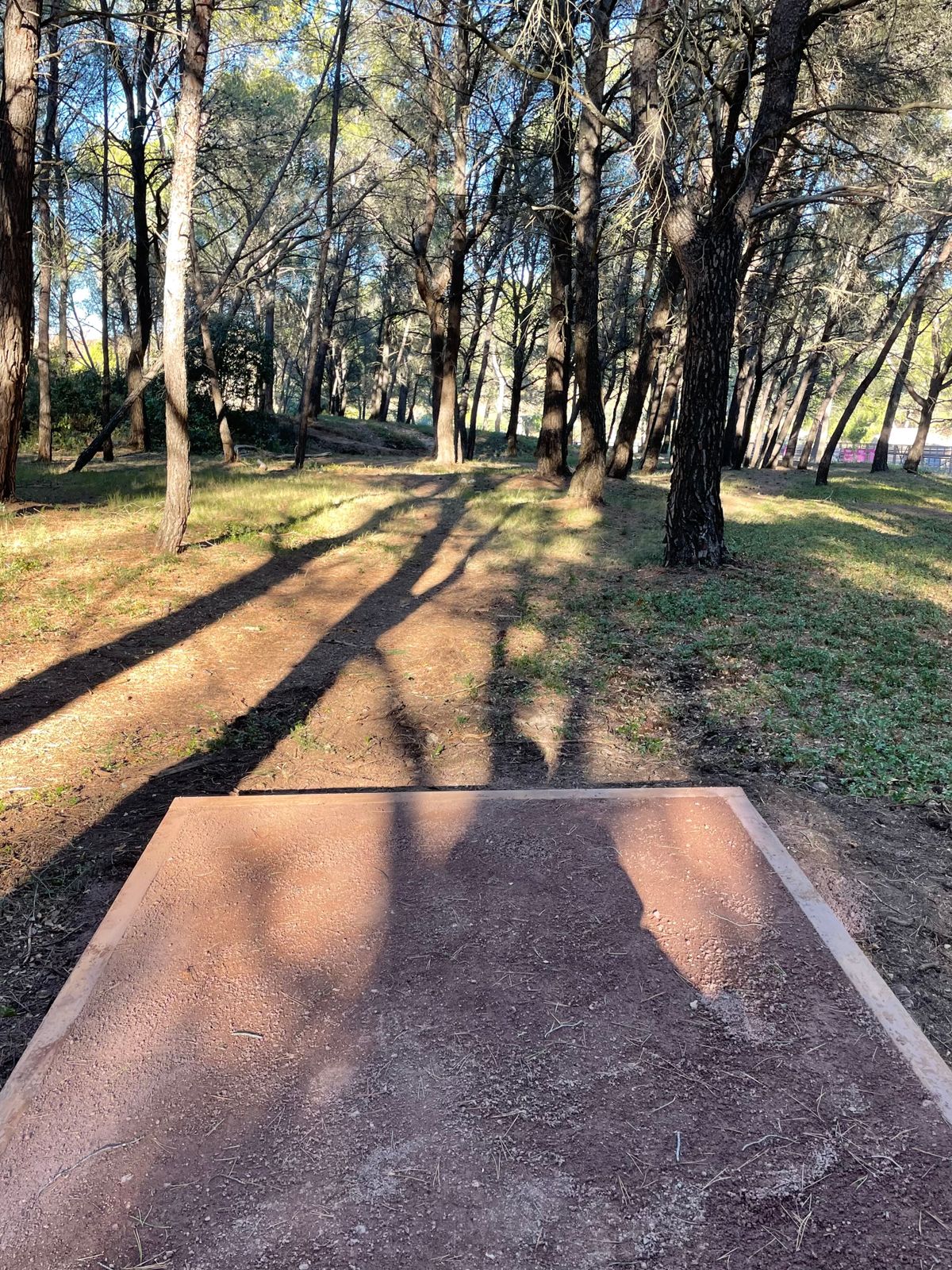 Tee 18