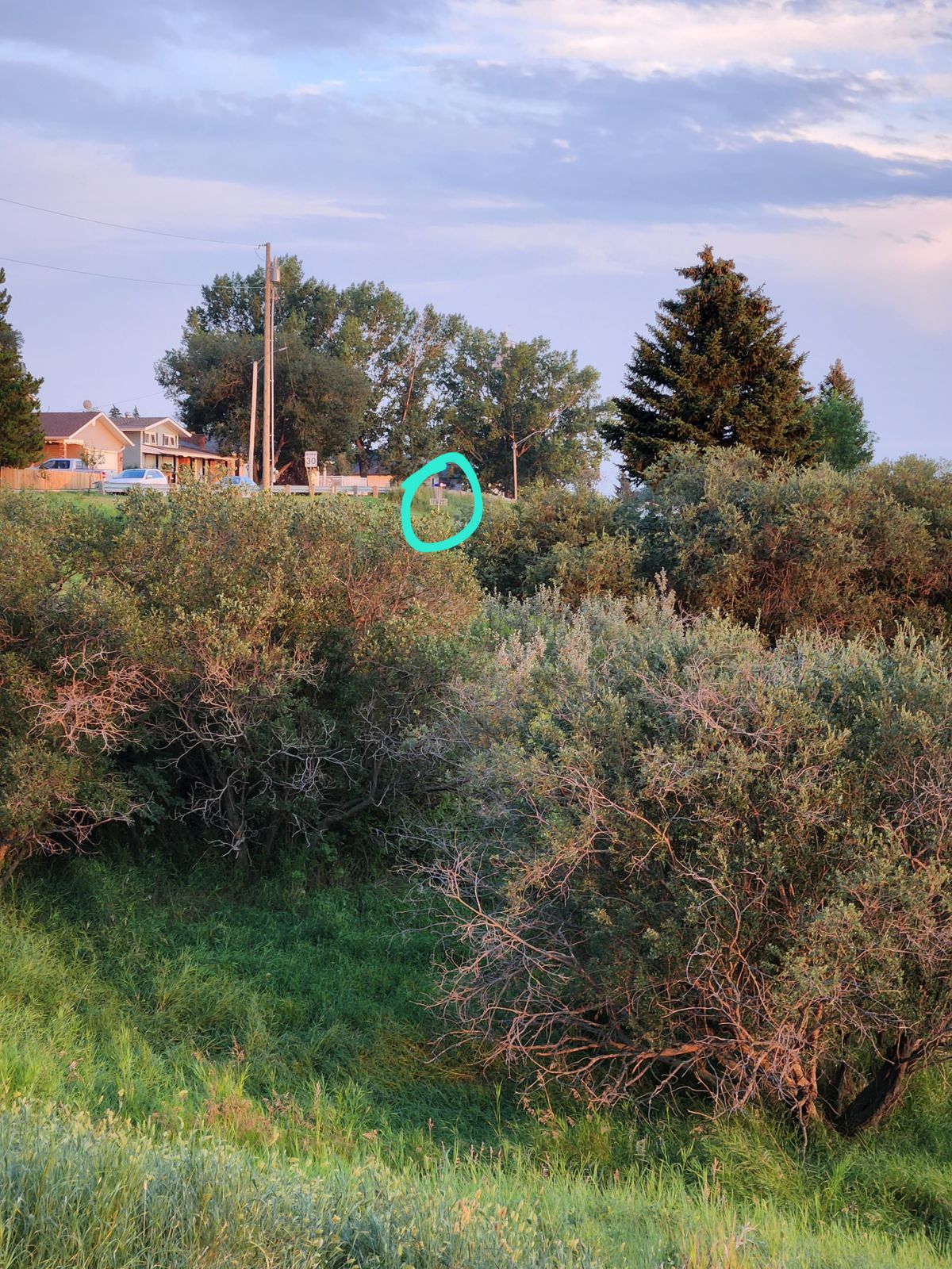 Maybe skip hole 2 unless you can guarantee a 90m throw (no fairway if you throw short). Oh - plus elevation...