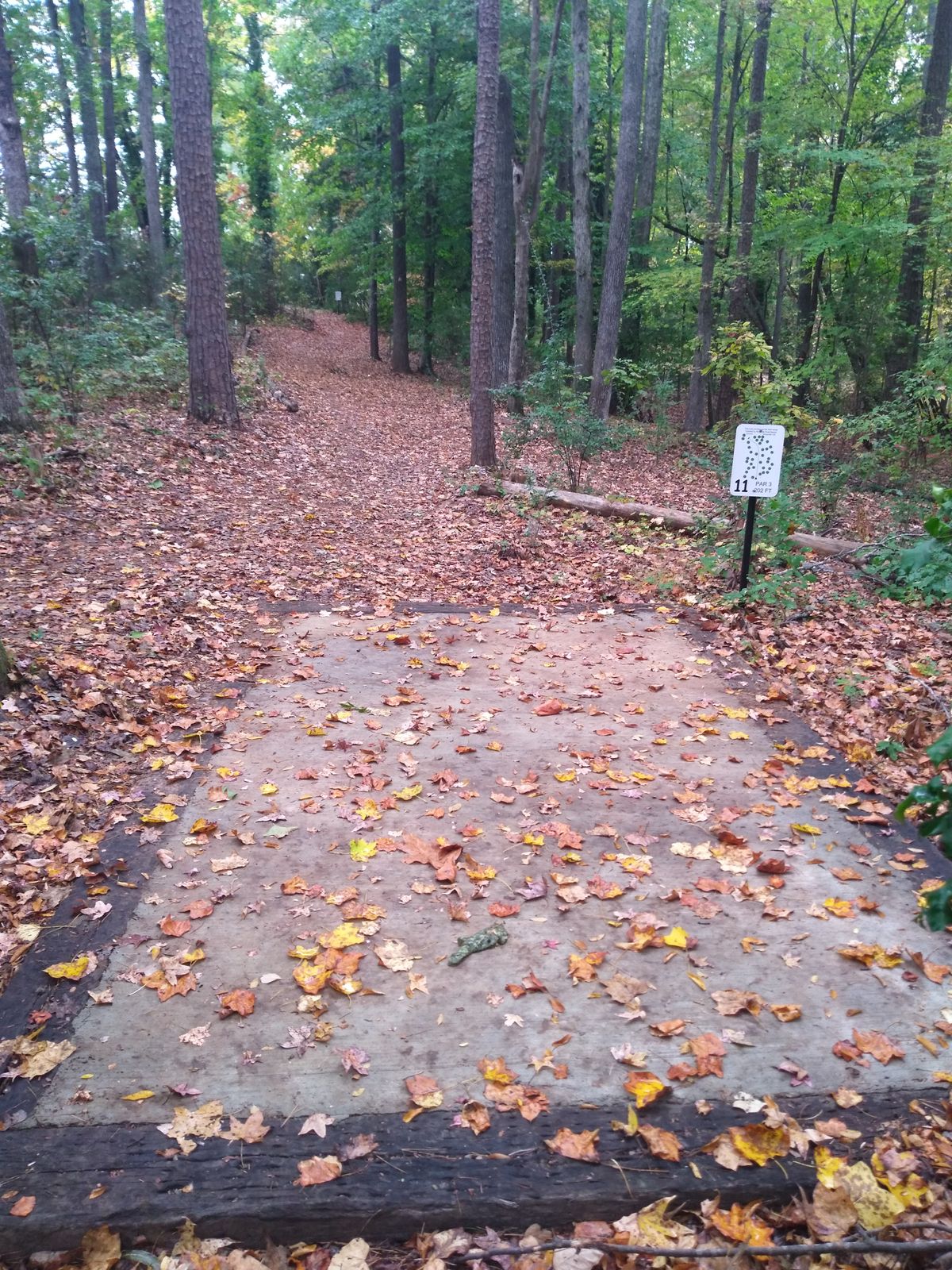 Tee box and fairway