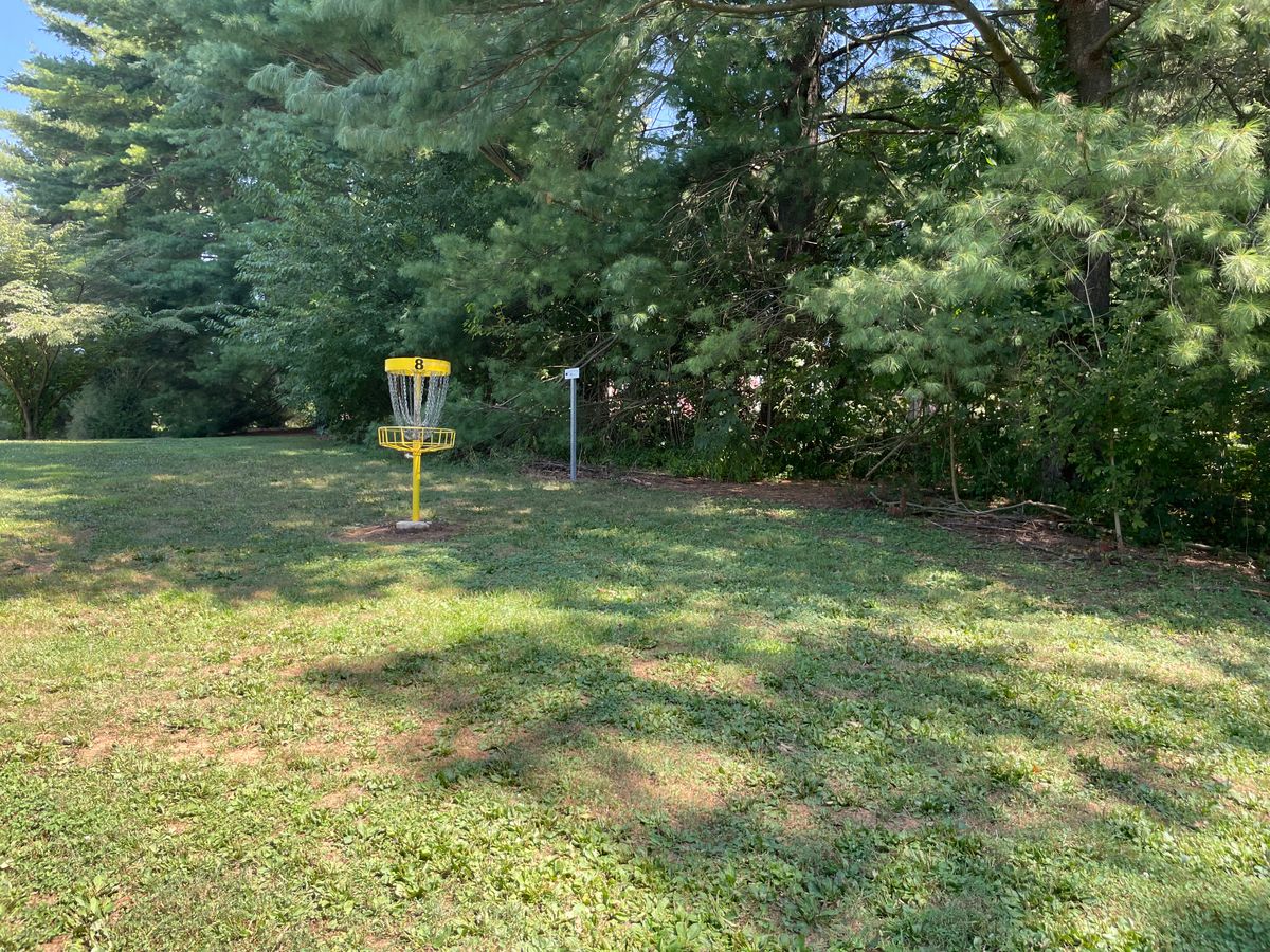 Hole 8 Basket