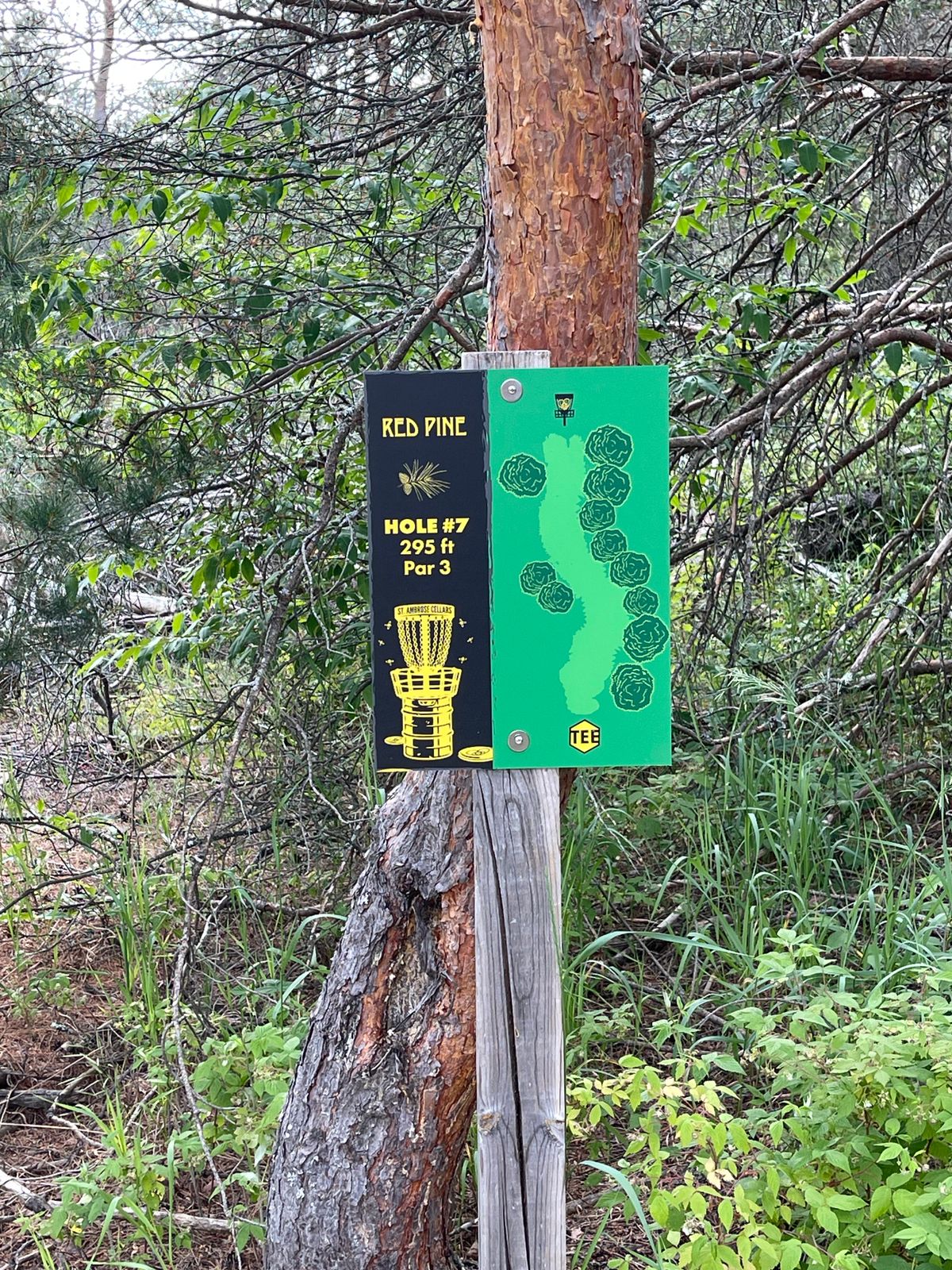 No 7 tee new signage 2023