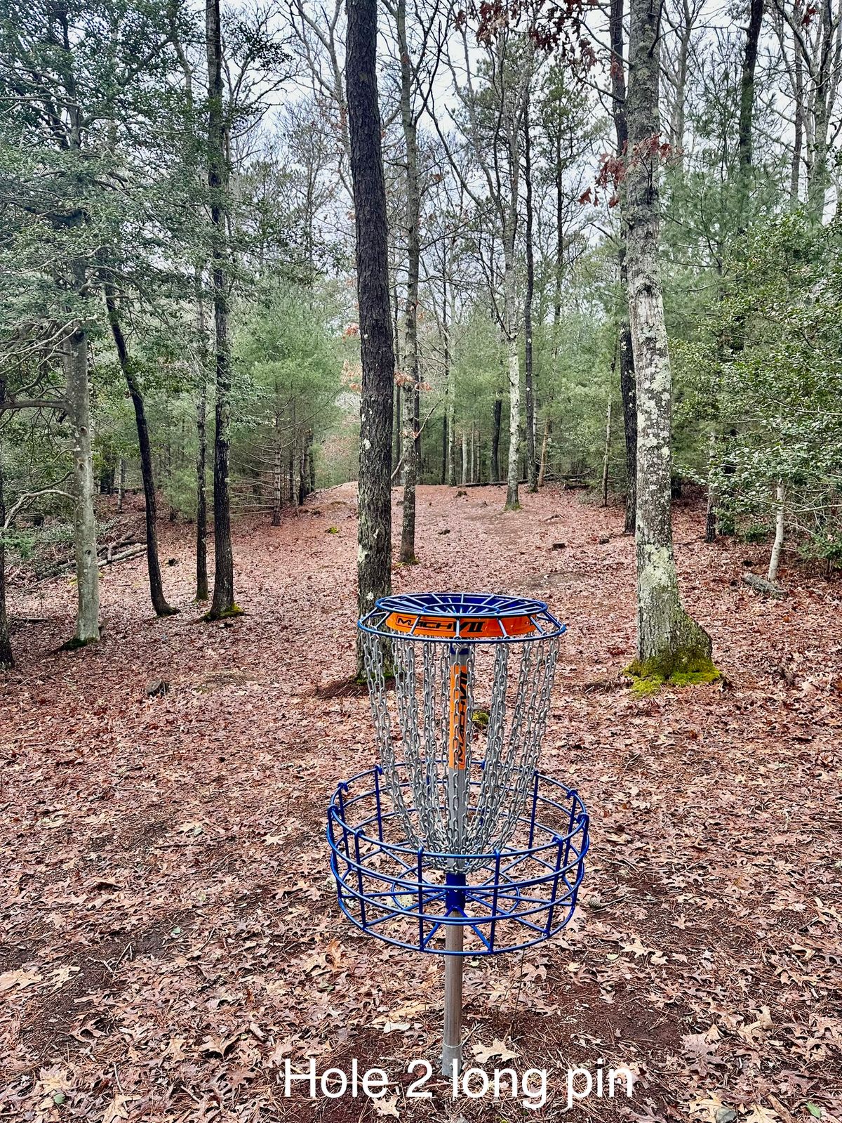 Hole 2 blue pin looking back at the fairway 