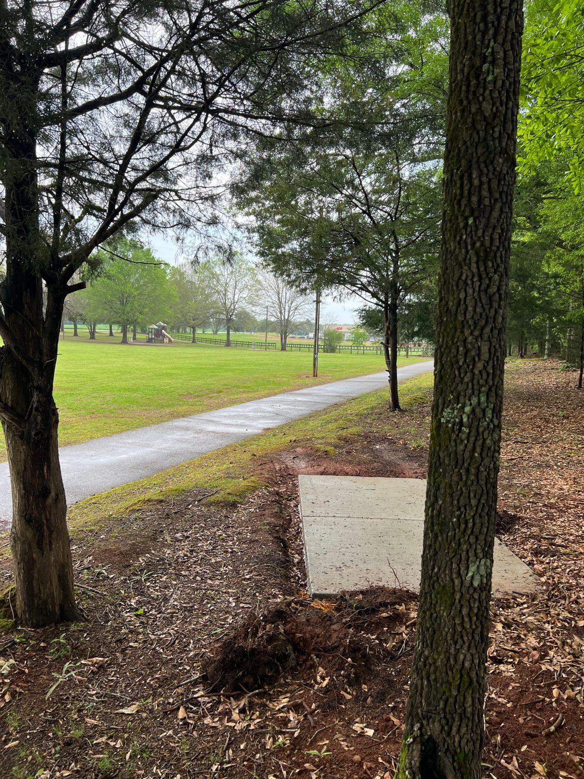 Hole 6 tee pad has you driving from the ridge near the Cricket Frog Trail.