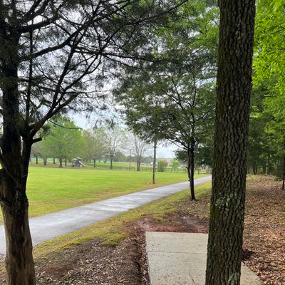 Hole 6 tee pad has you driving from the ridge near the Cricket Frog Trail.