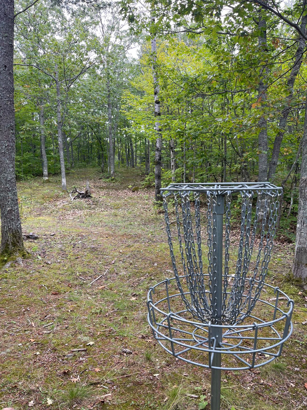 View from Hole 5’s green