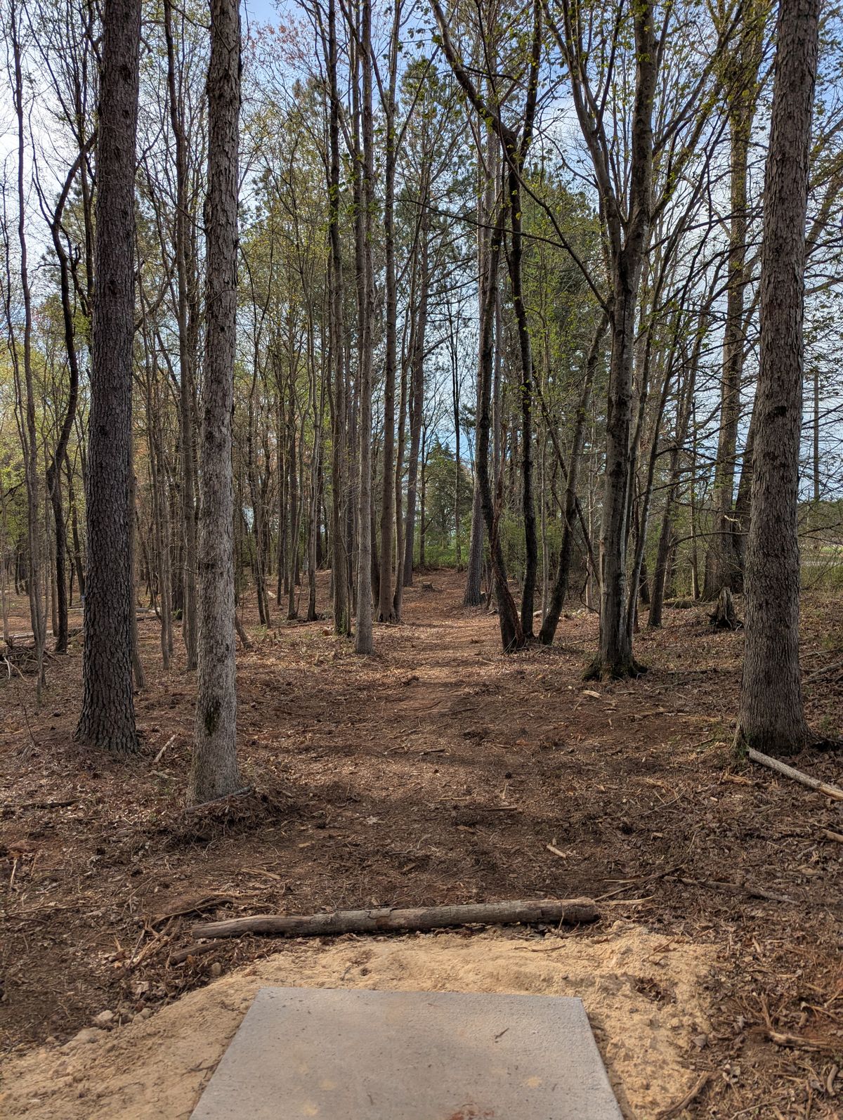 Hole 5