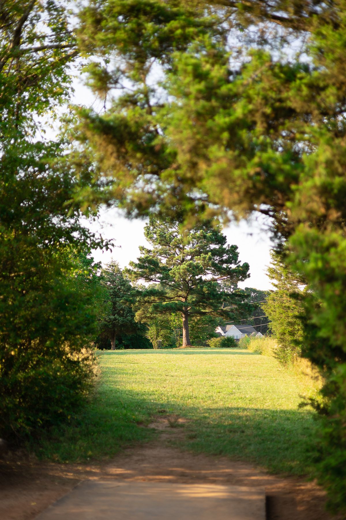 Hole 12