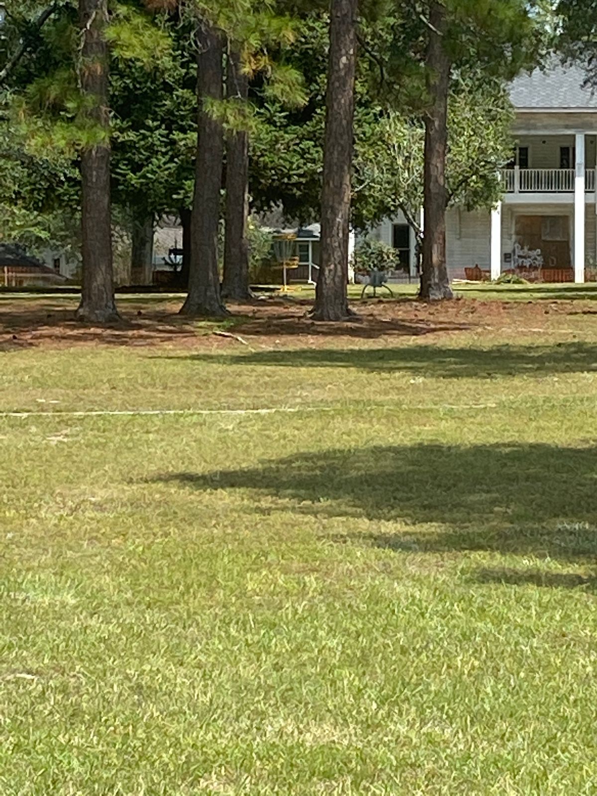 Hole 15