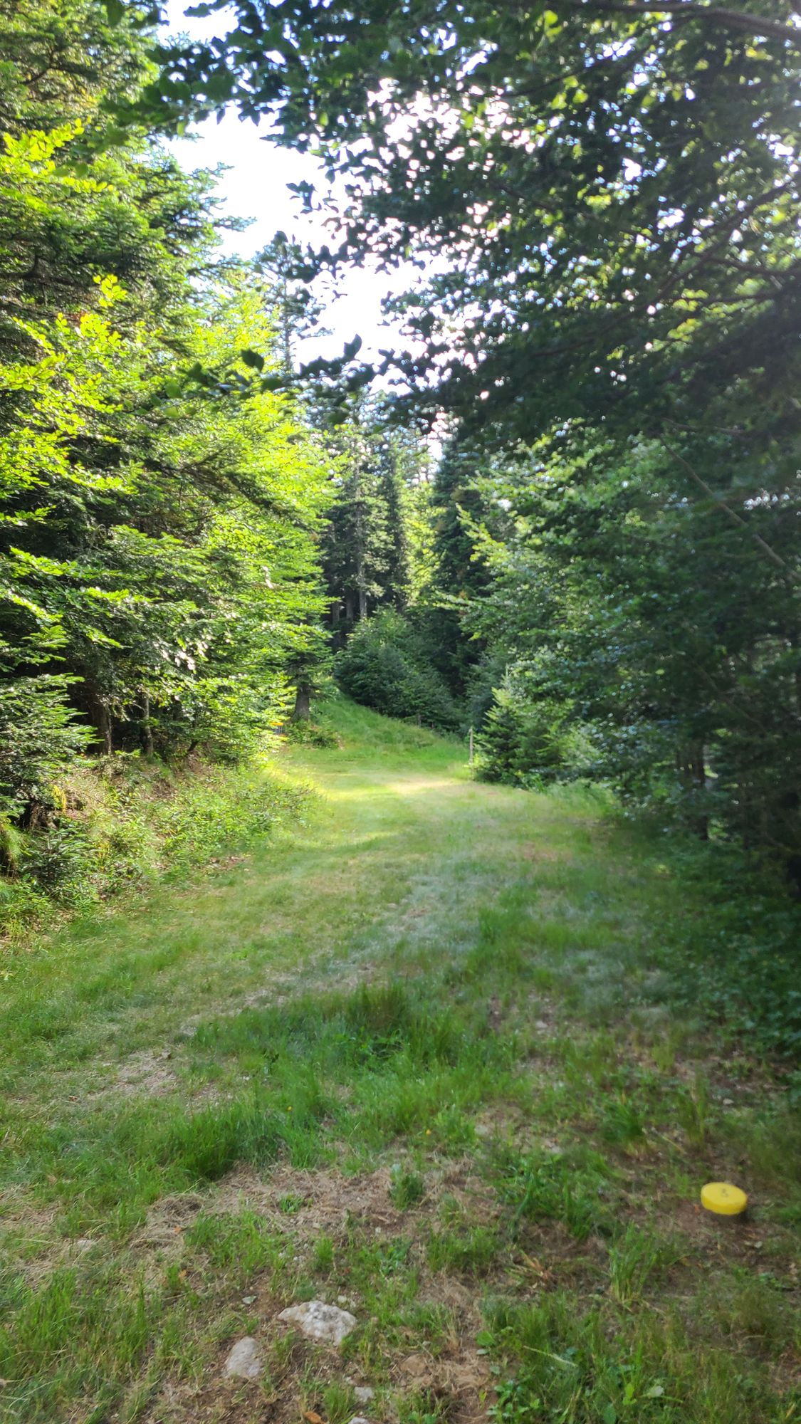 3 Débutant