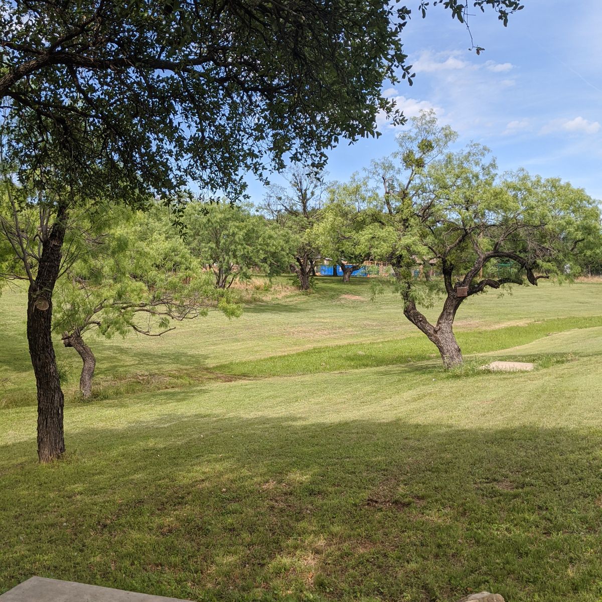 Hole 2 from the tee. The basket is located up the hill to the left.