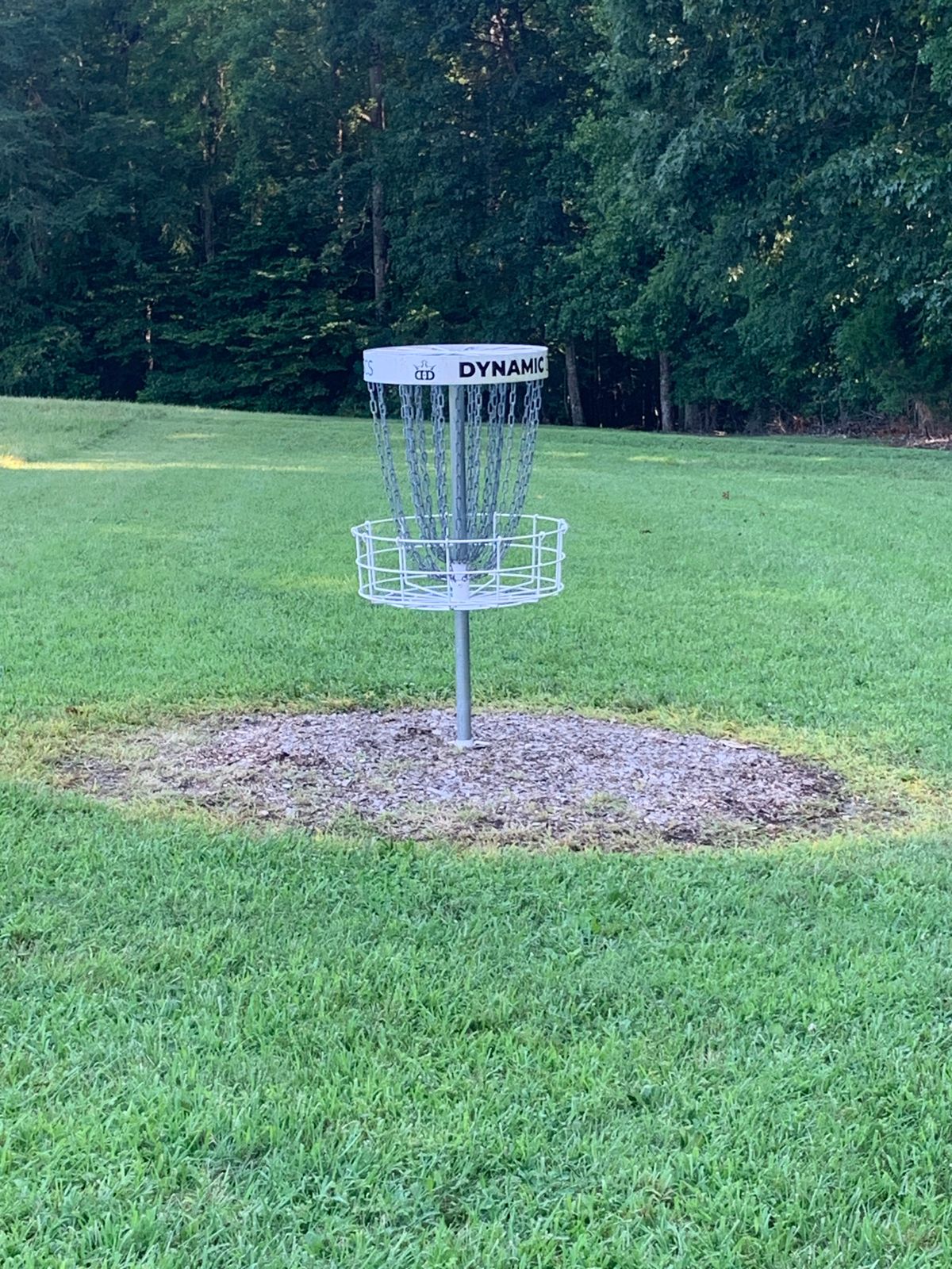 Hole 4 Basket. 