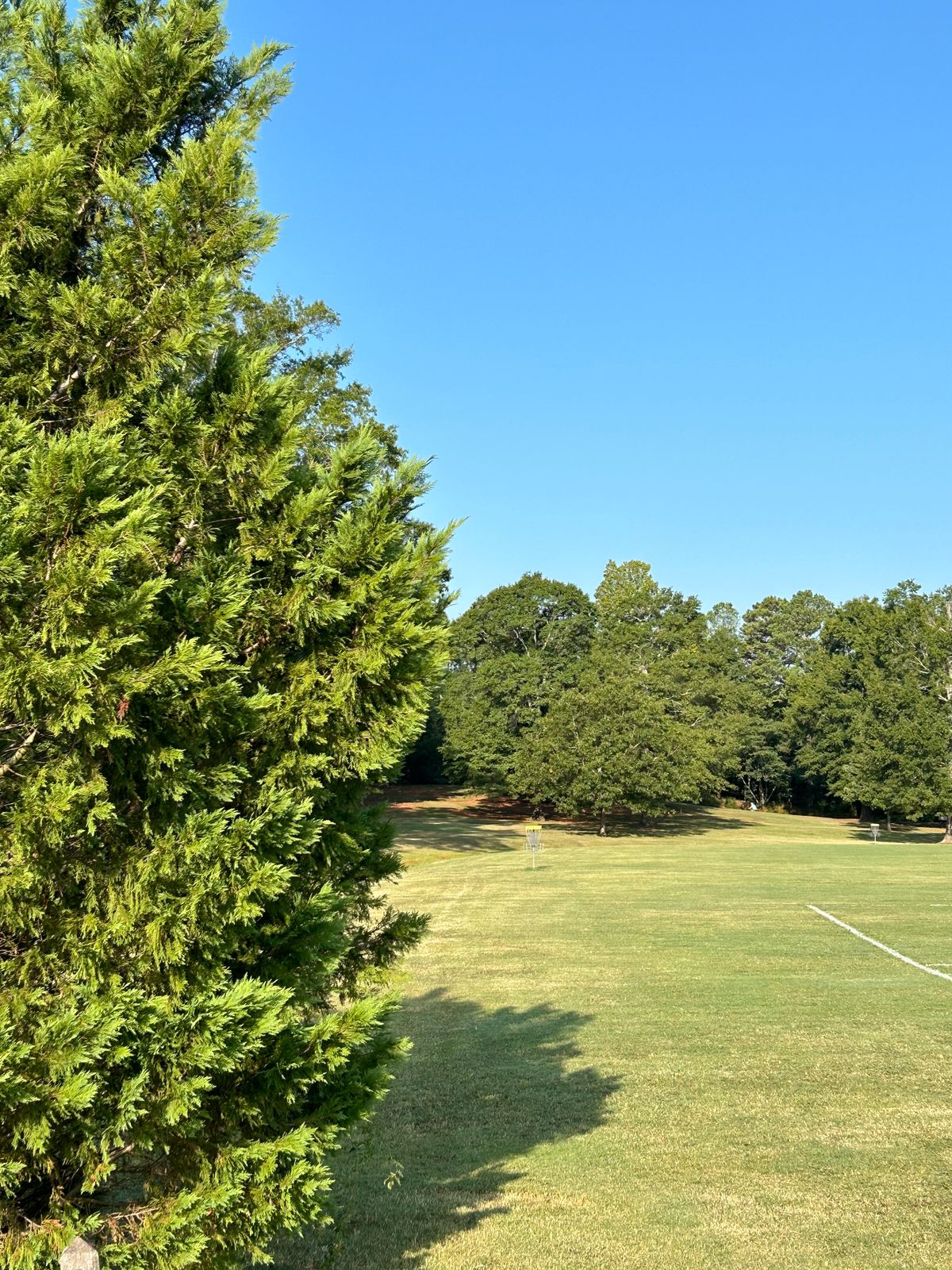 Hole 2 Tee