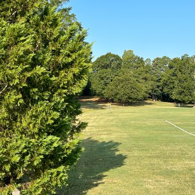Hole 2 Tee