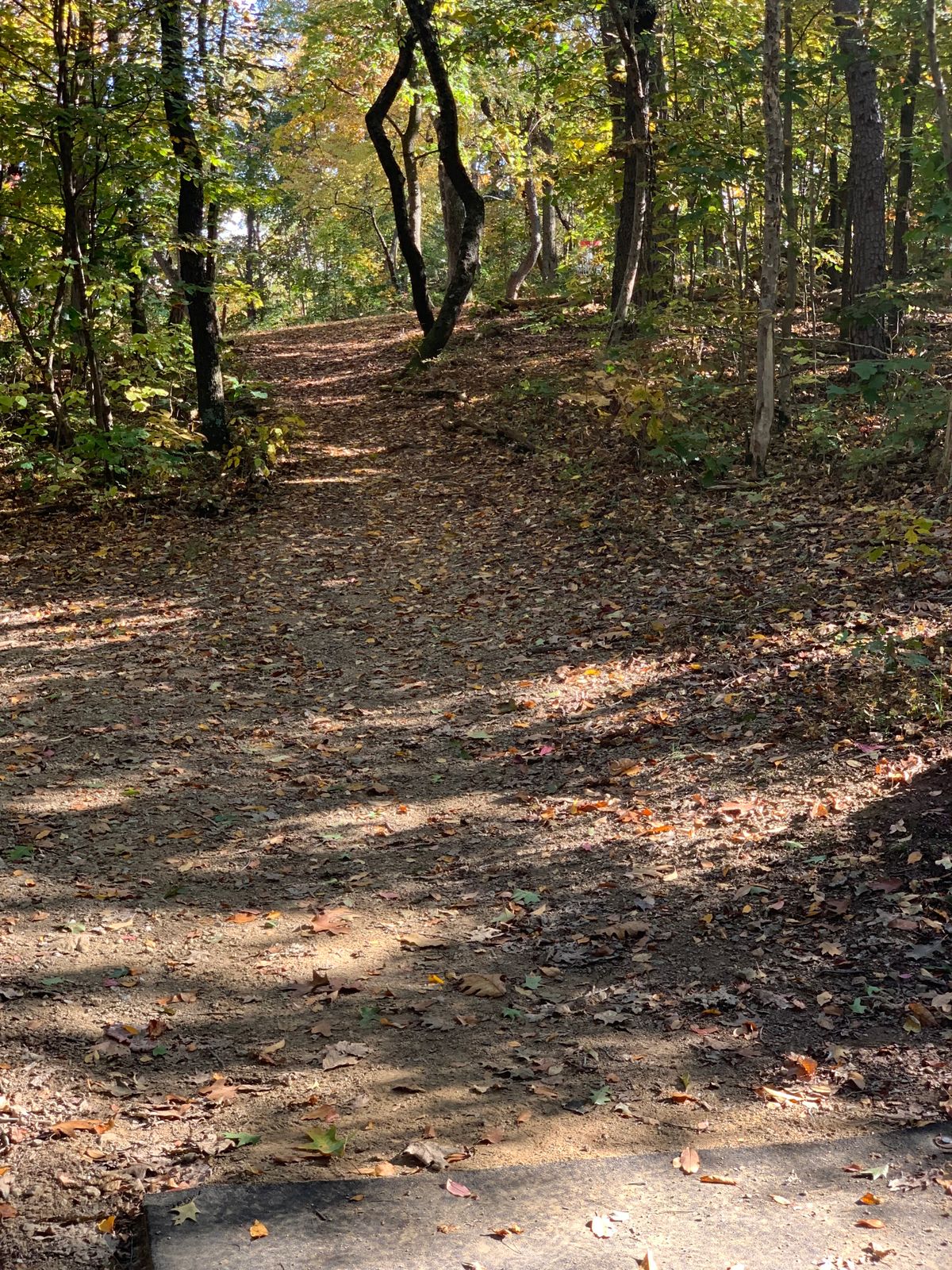 Hole 15, basket is straight and slightly to the right