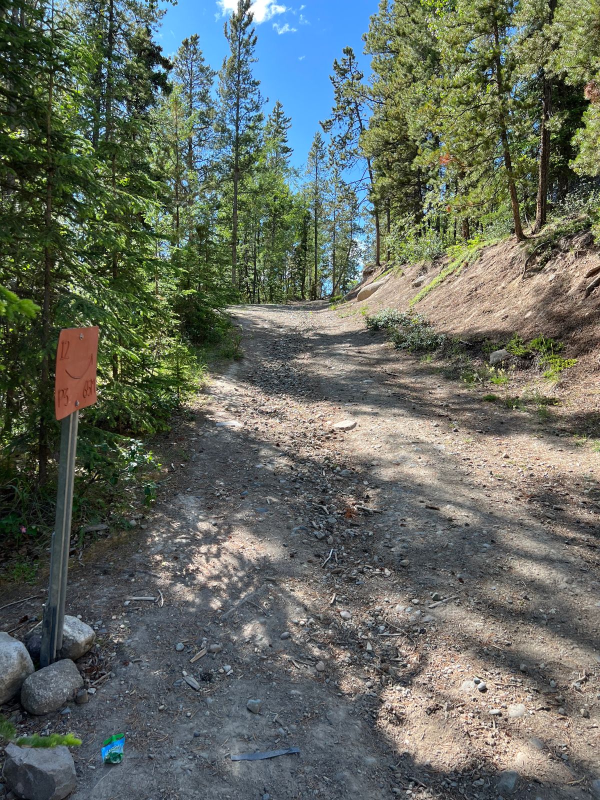 Hole 12 reds
