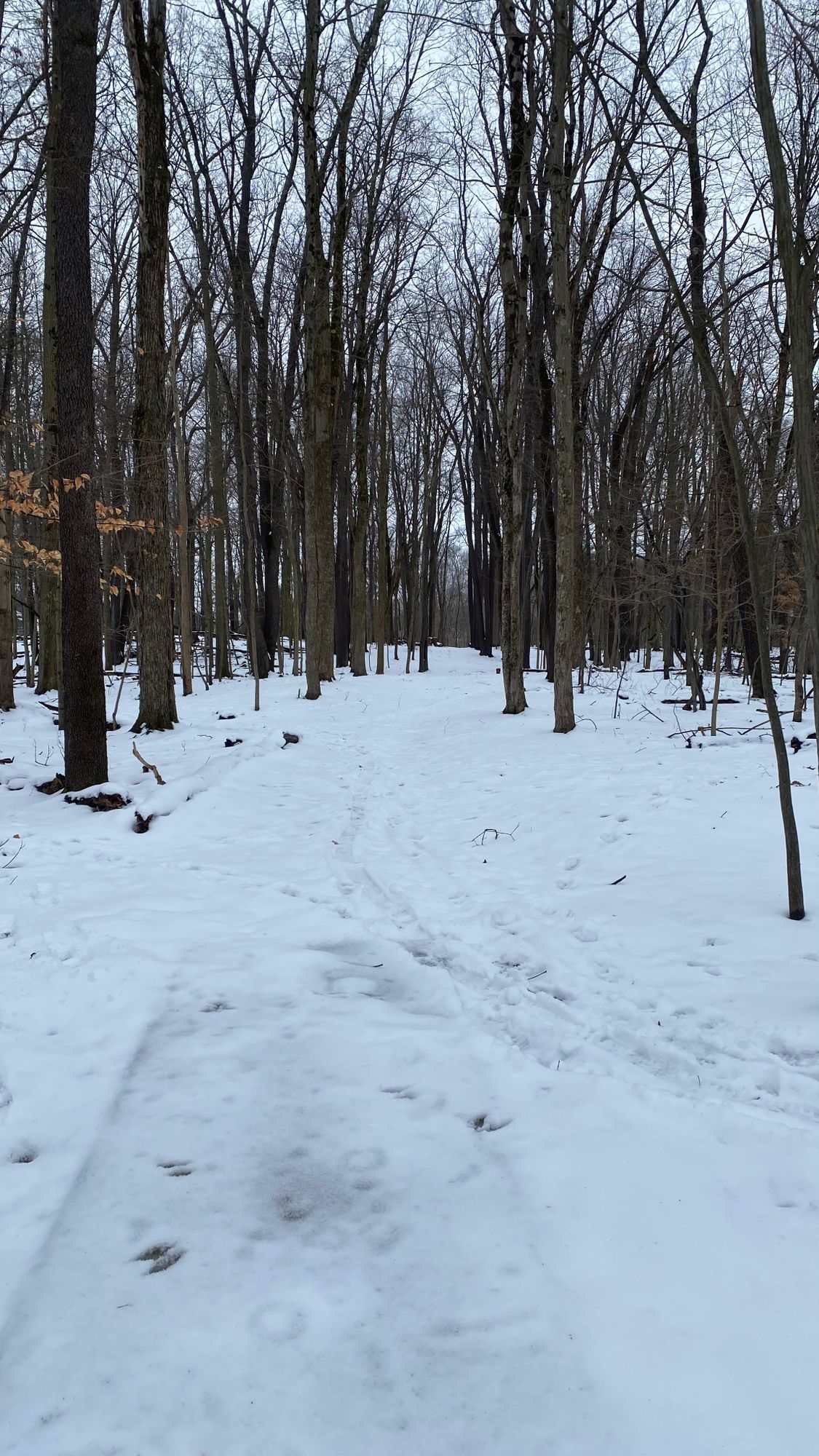 Hole 16