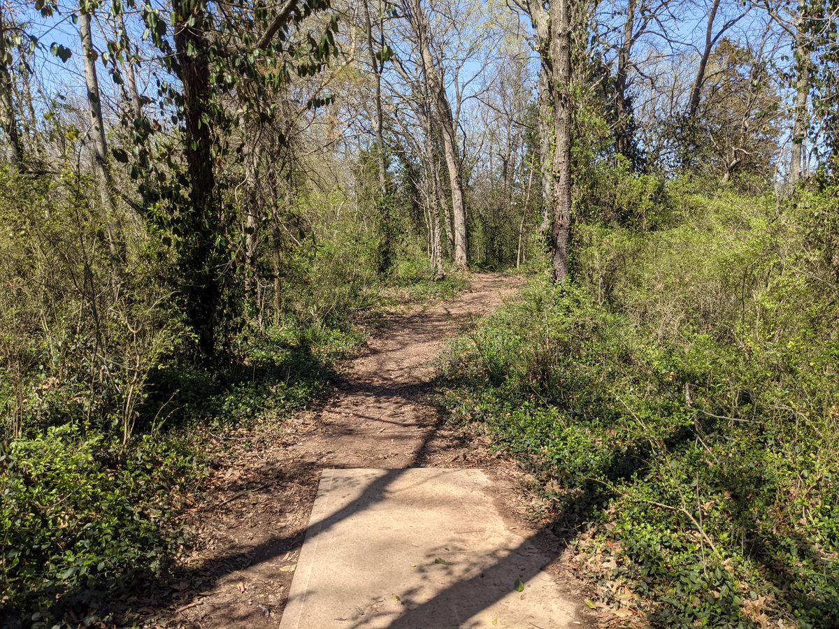 Hole 15 is a challenging hole that is well guarded.  The dark tree on the left and first tree on the right are staggered just enough to make the gap feel tighter than it should.  The fairway turns at the half way point and goes down and right to the pin.  The fairway past the turn is a tight tunnel that is difficult to push all the way to the basket.
