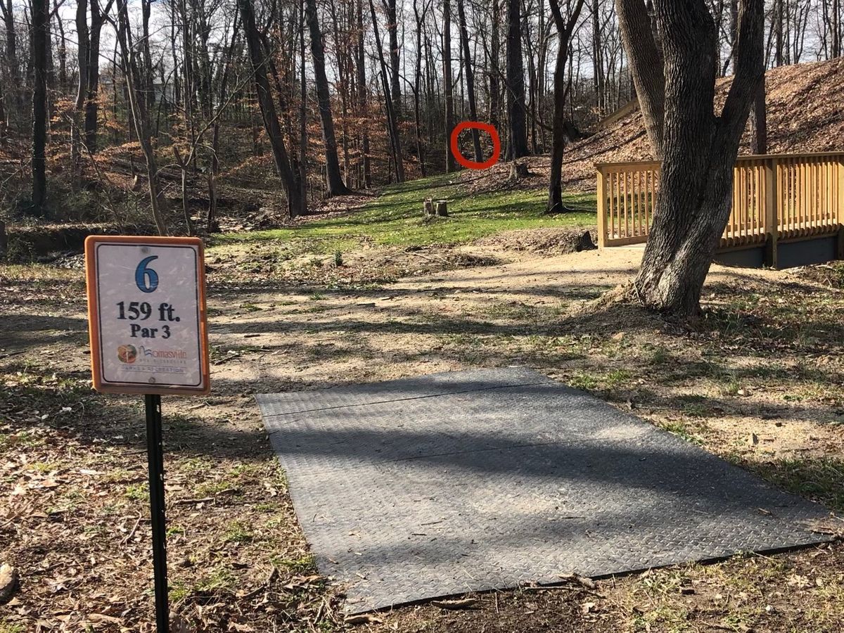 #6 tee