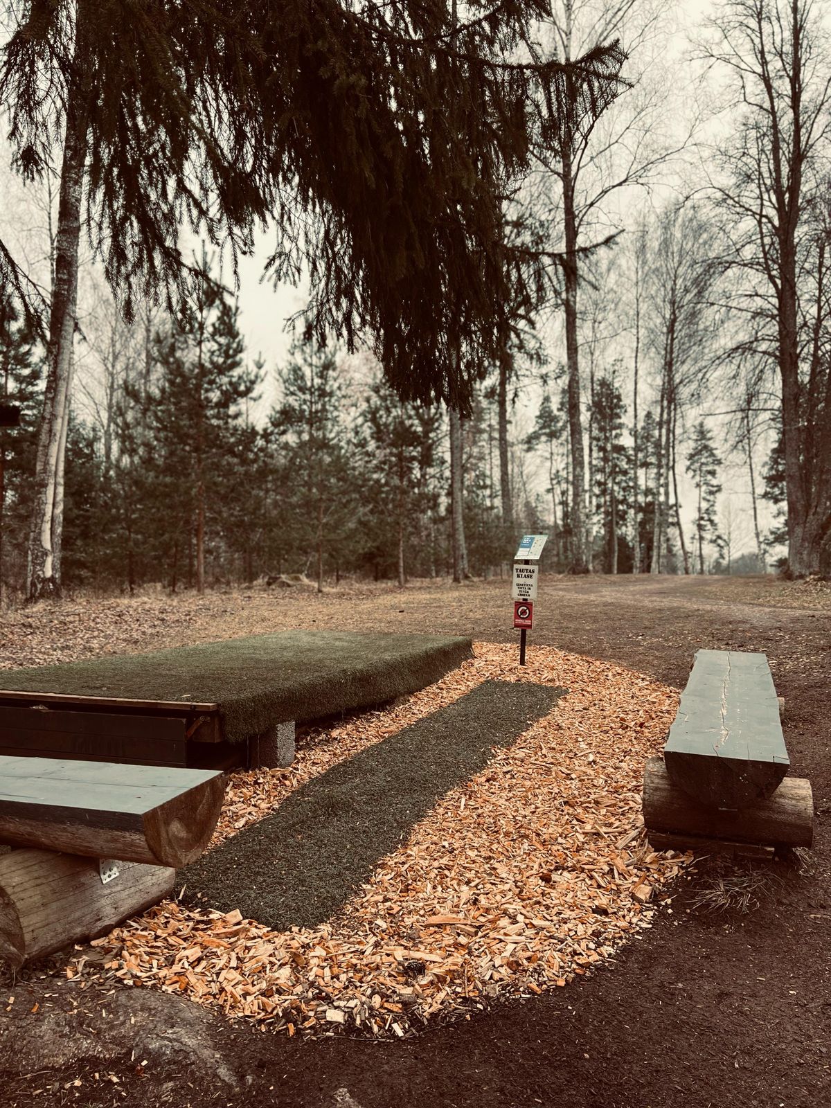 1st tee