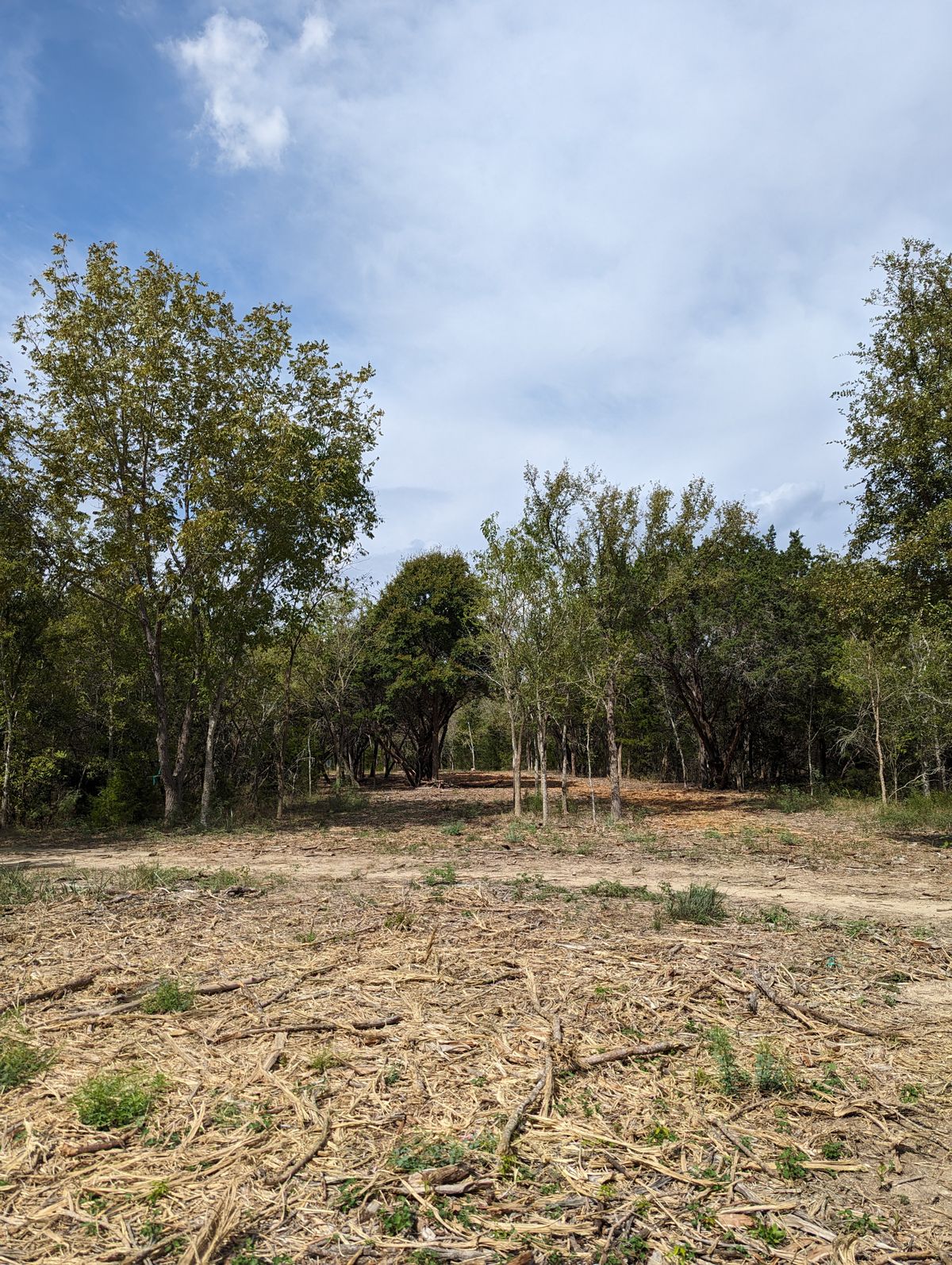 Hole 15 Landing Zone