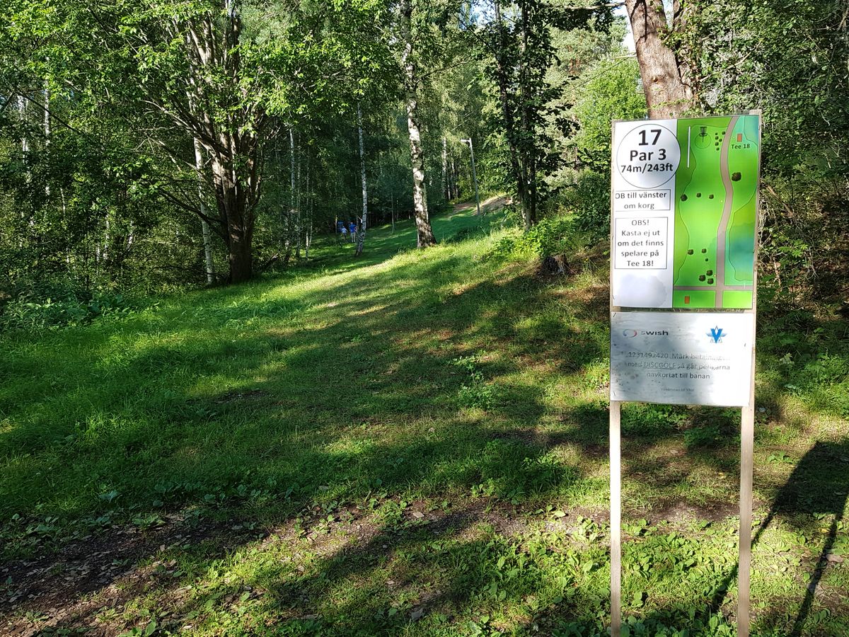 15 Aug 2020 - Tee hål 17