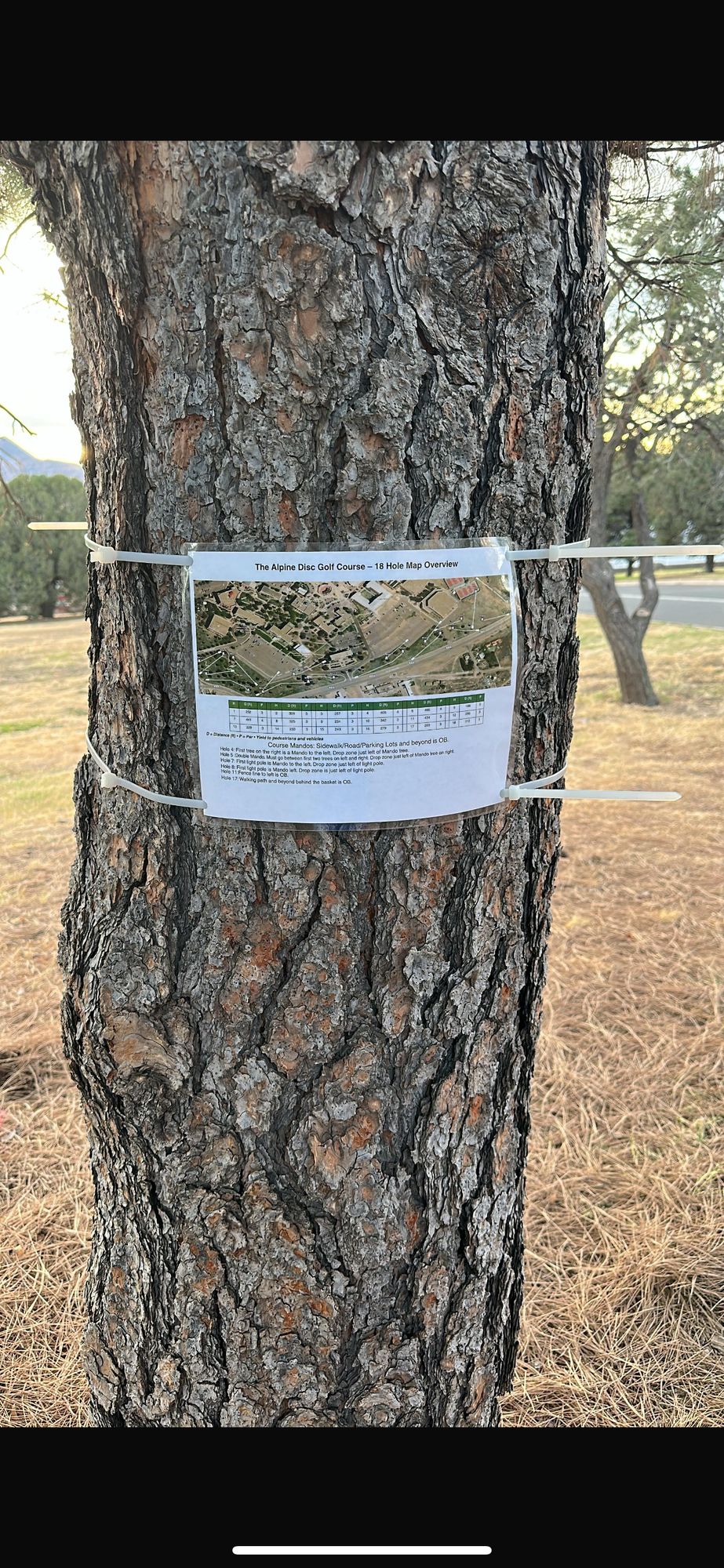 The Alpine DGC Map Overview. Located at Tee Box 1.