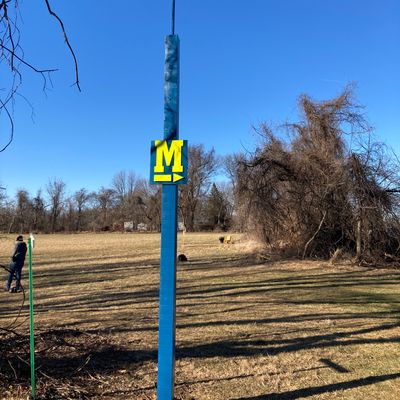 Mando post on hole 8 with windsock