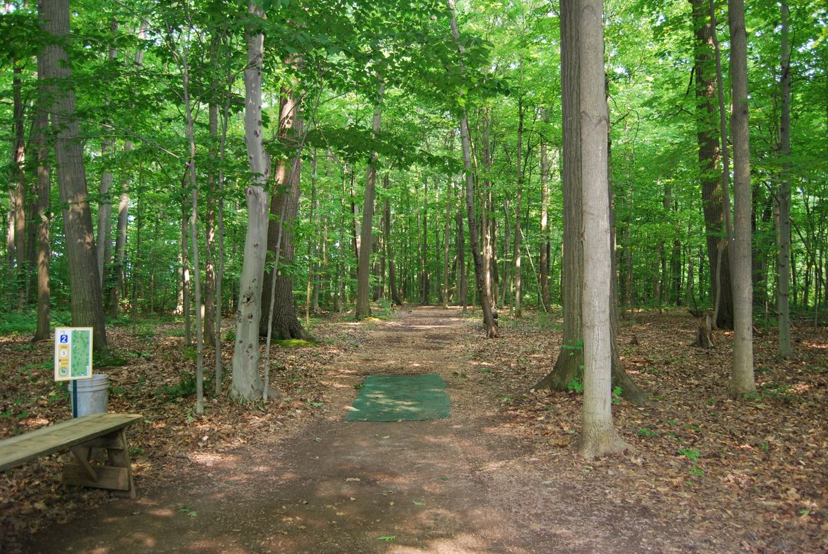 Hole 2 long tee pad position