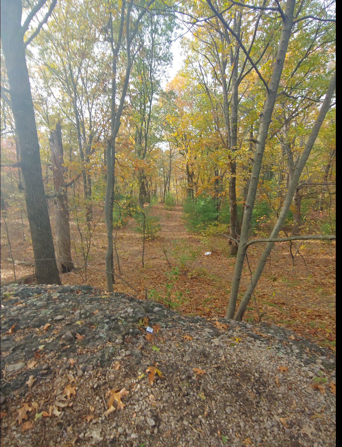 Hole 12 tee