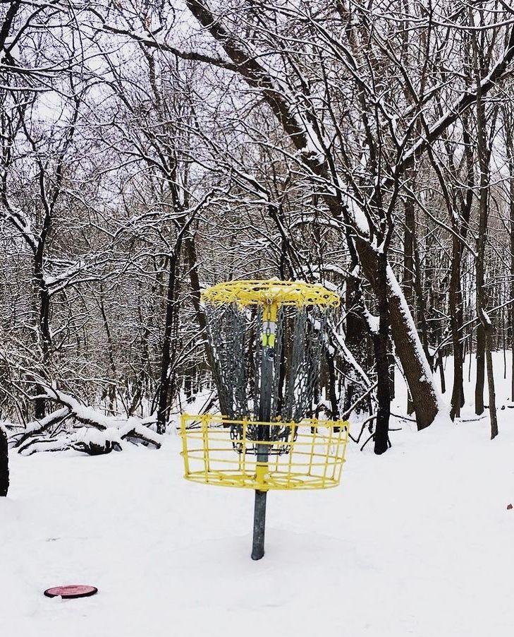 Beautiful park job while winter discing.