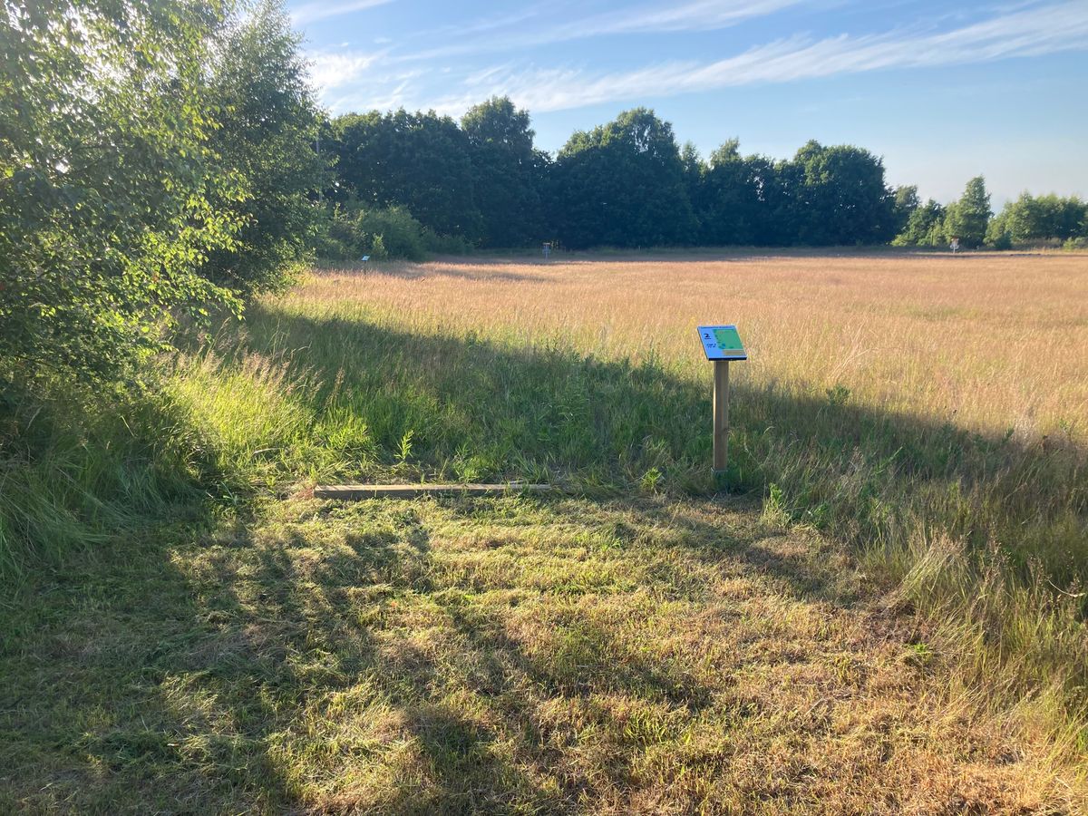 Tee 2