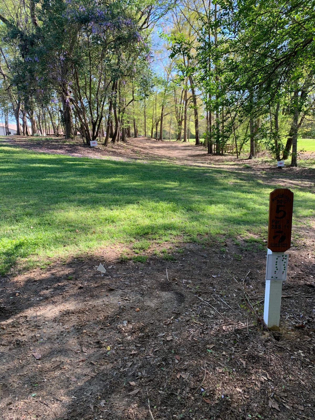 Hole 5 tee