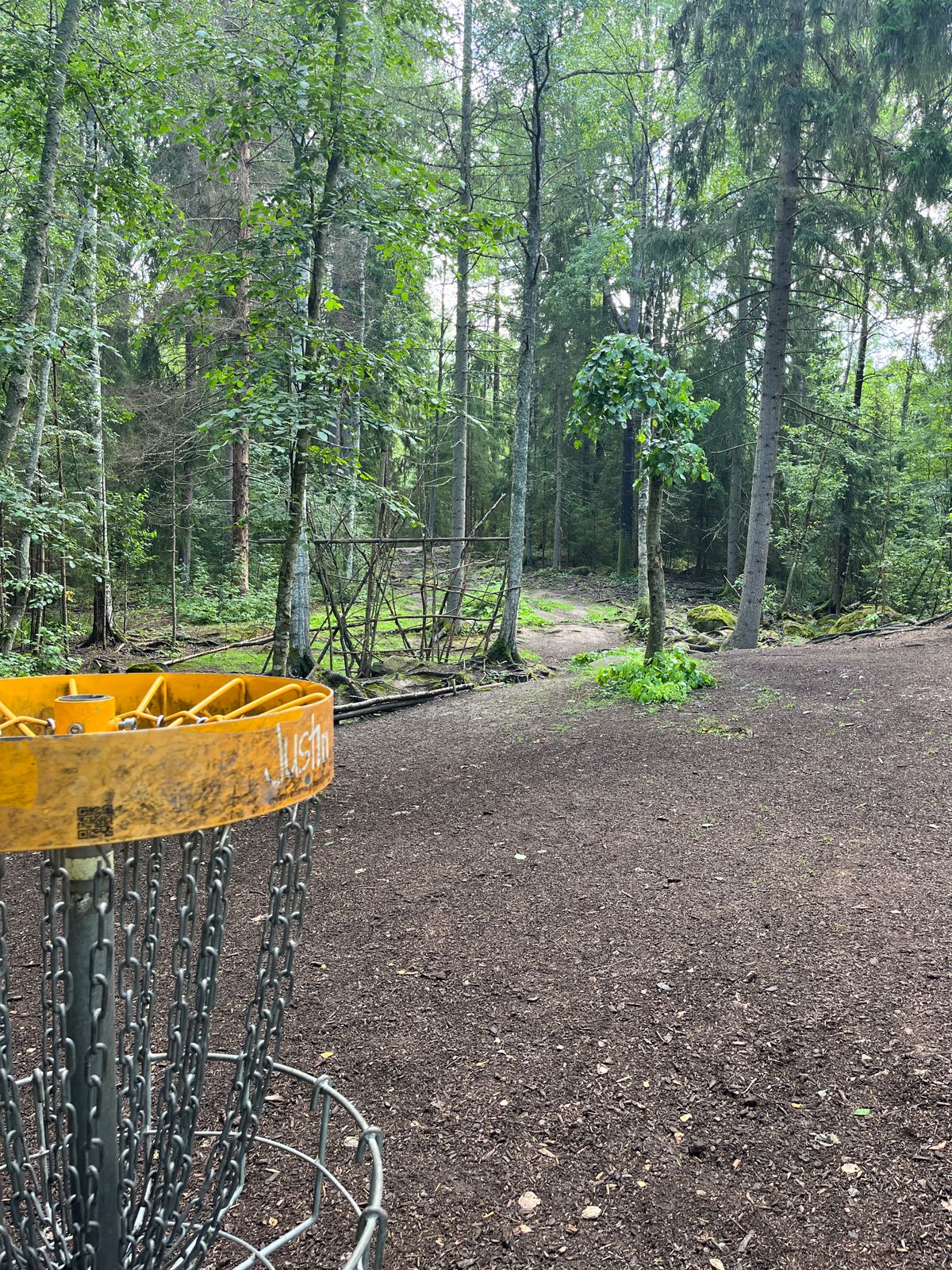 Hole 18, basket to tee