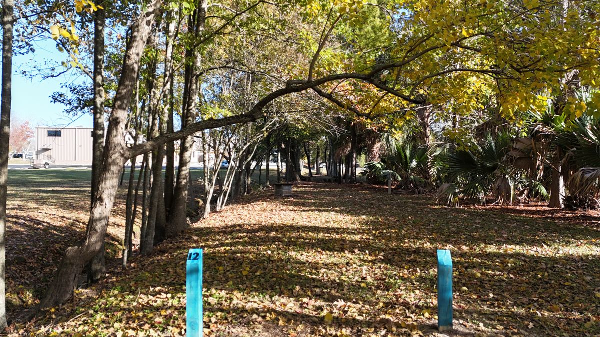 Tee 12, Blue Basket