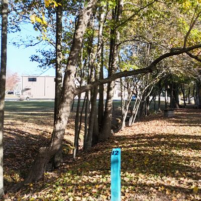 Tee 12, Blue Basket