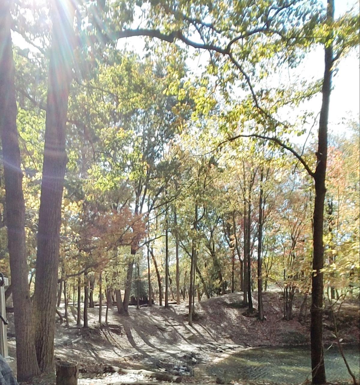Tee shot #3 - Stafford Woods.