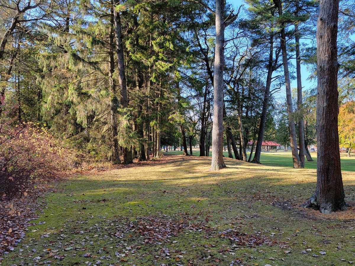 Hole 6 long tee - before photo