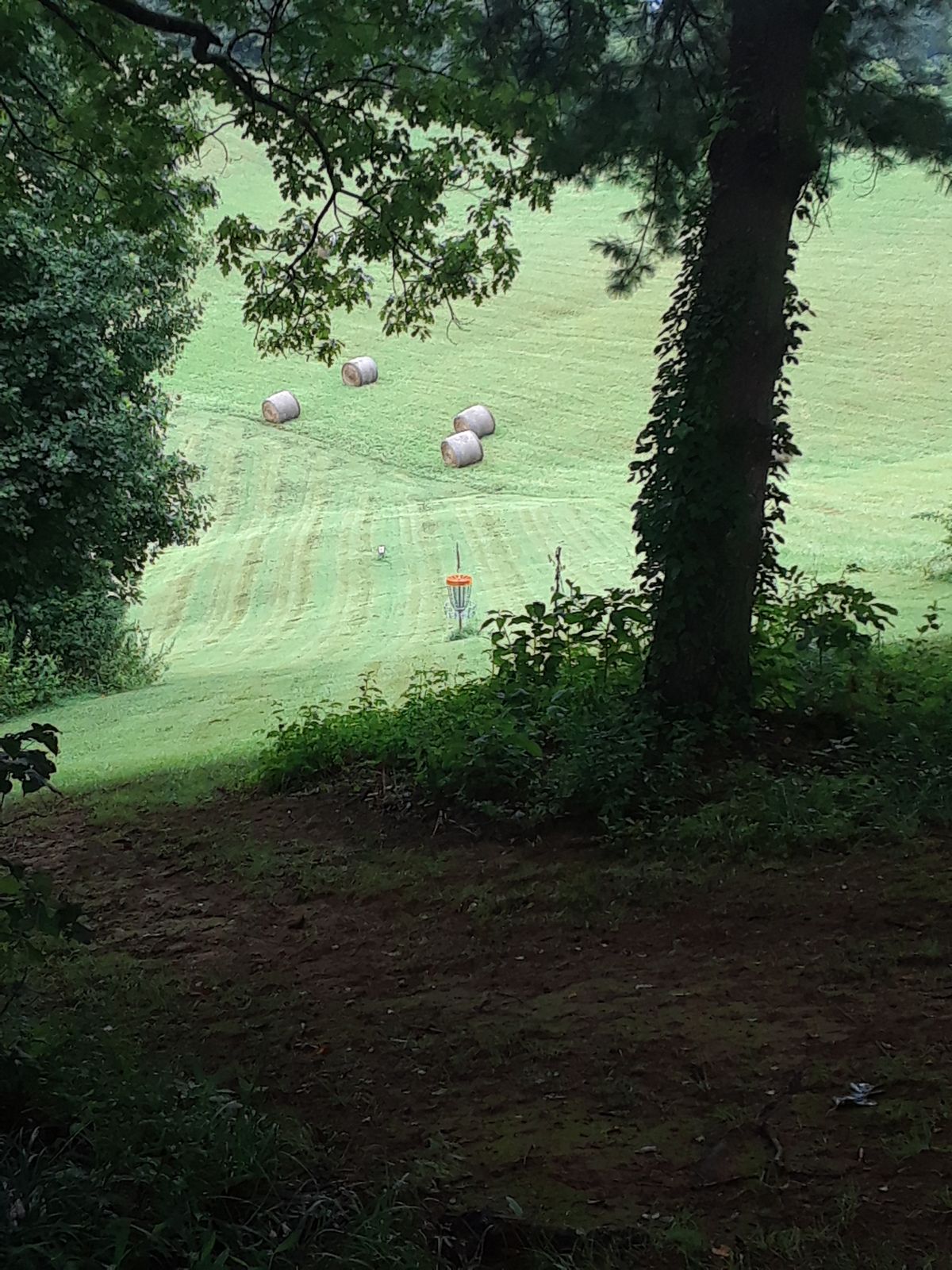 #6 up shot at left dogleg.