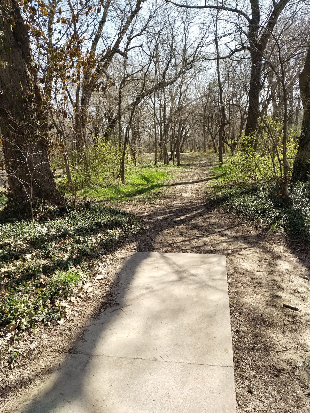 Hole #7 Blue Tee (April 2021)