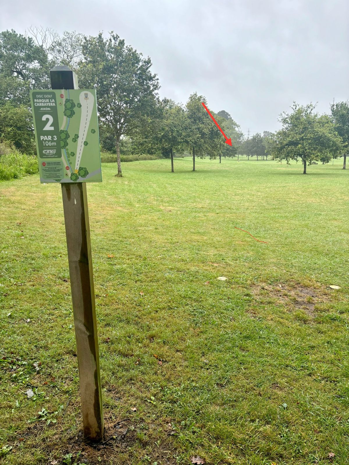 #2 / basket location (arrow)