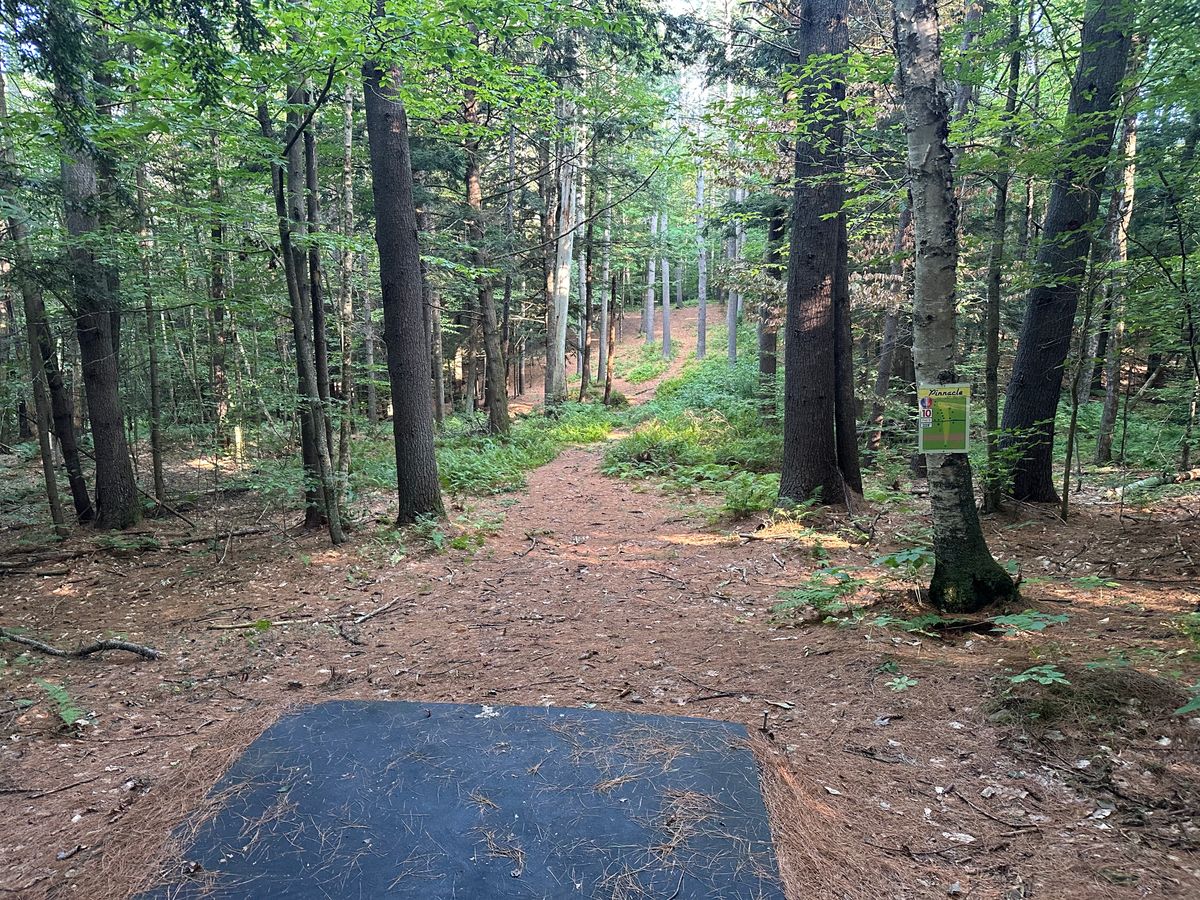 Tee pad 10