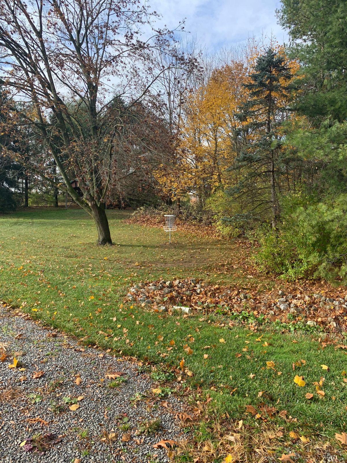 Basket of hole 3. Photo is taken from the parking area by the pool.