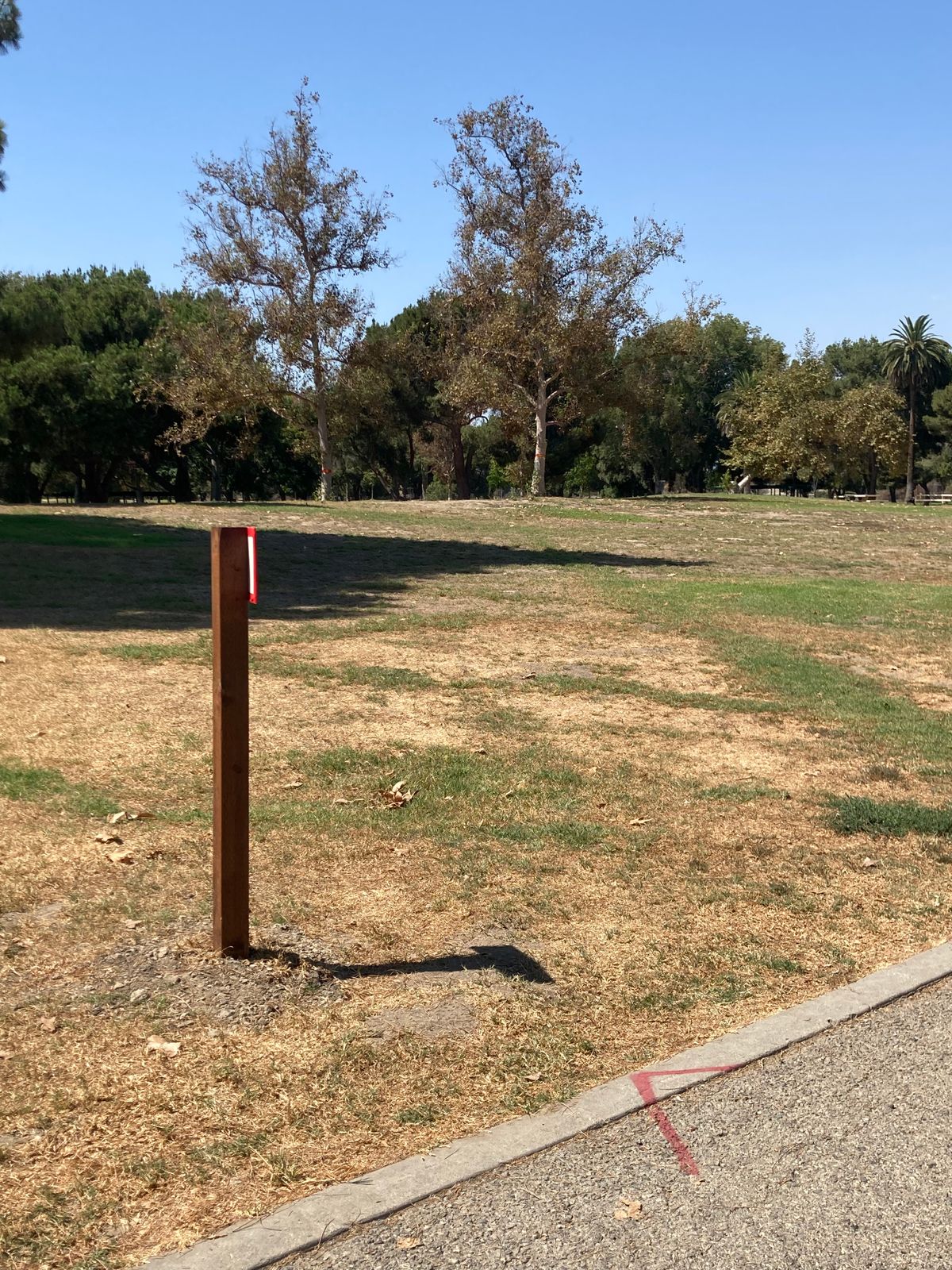 New tee pad position