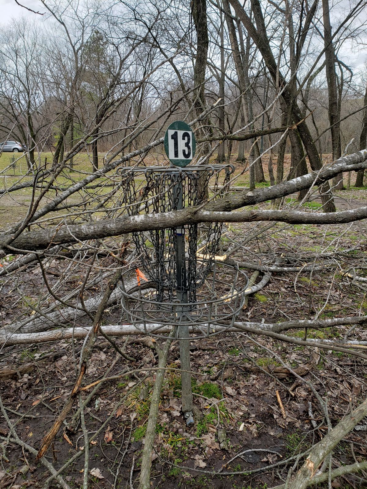 Tree just fell on hole 13 guys!
