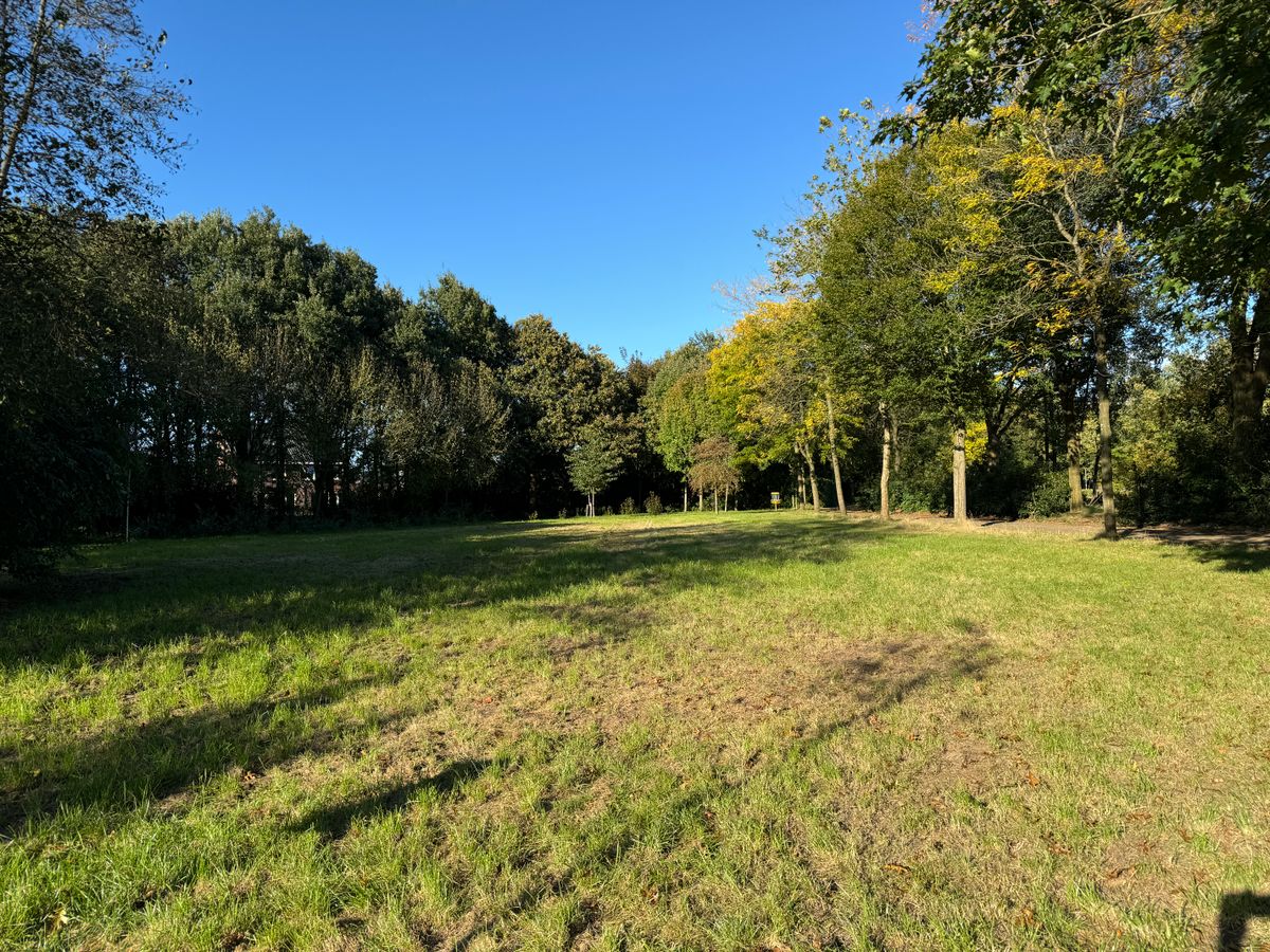 Hole 7 red/blue