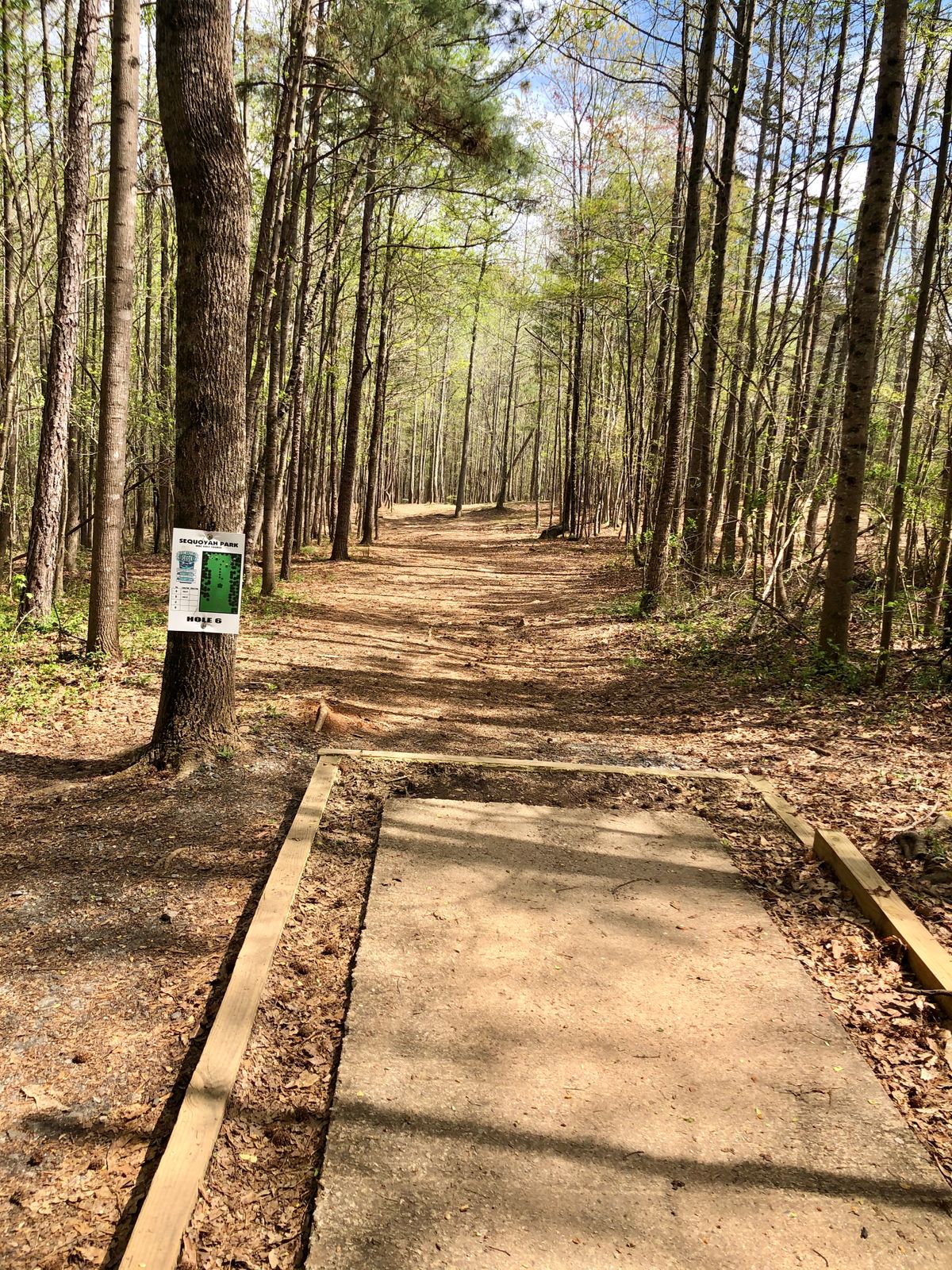 Tee 6