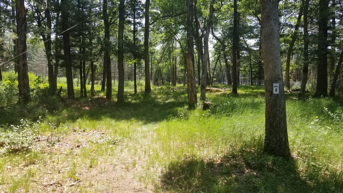 Hole 5.
