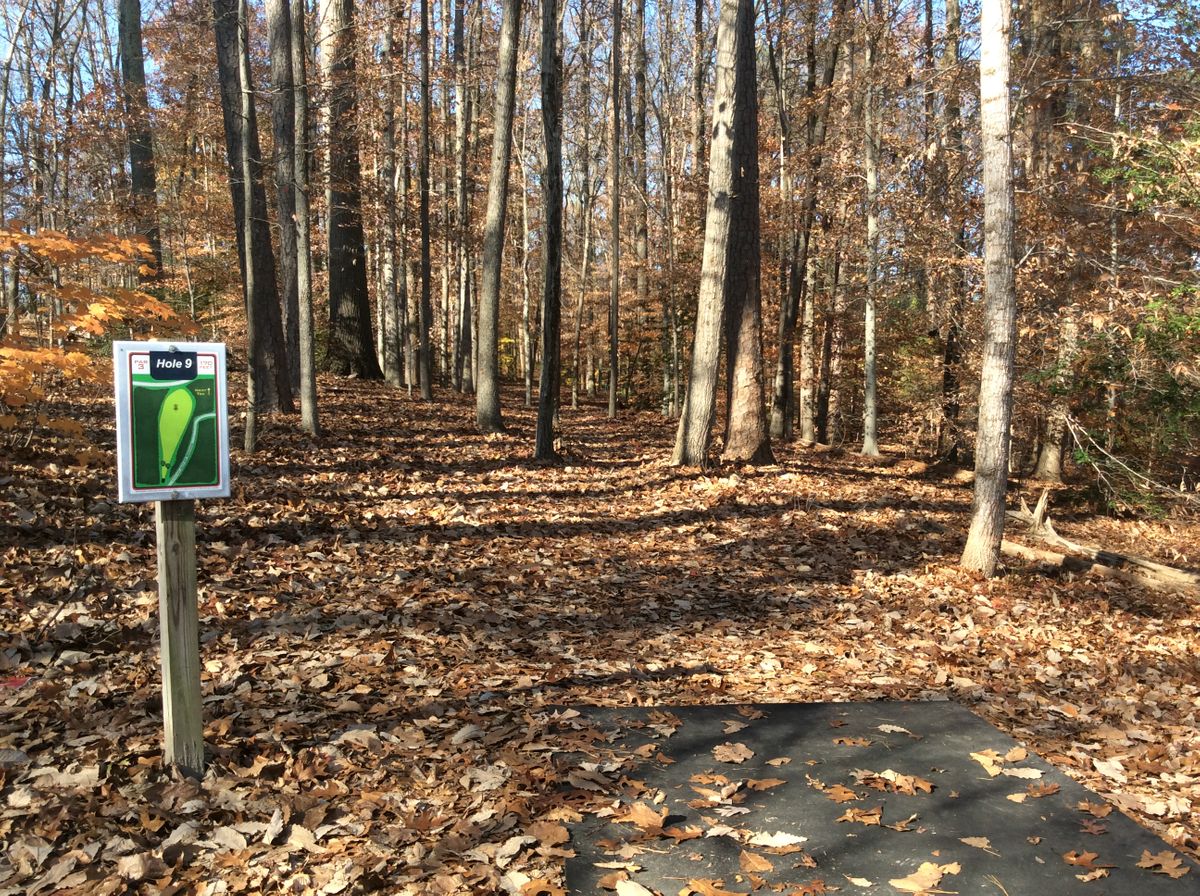 Hole #9