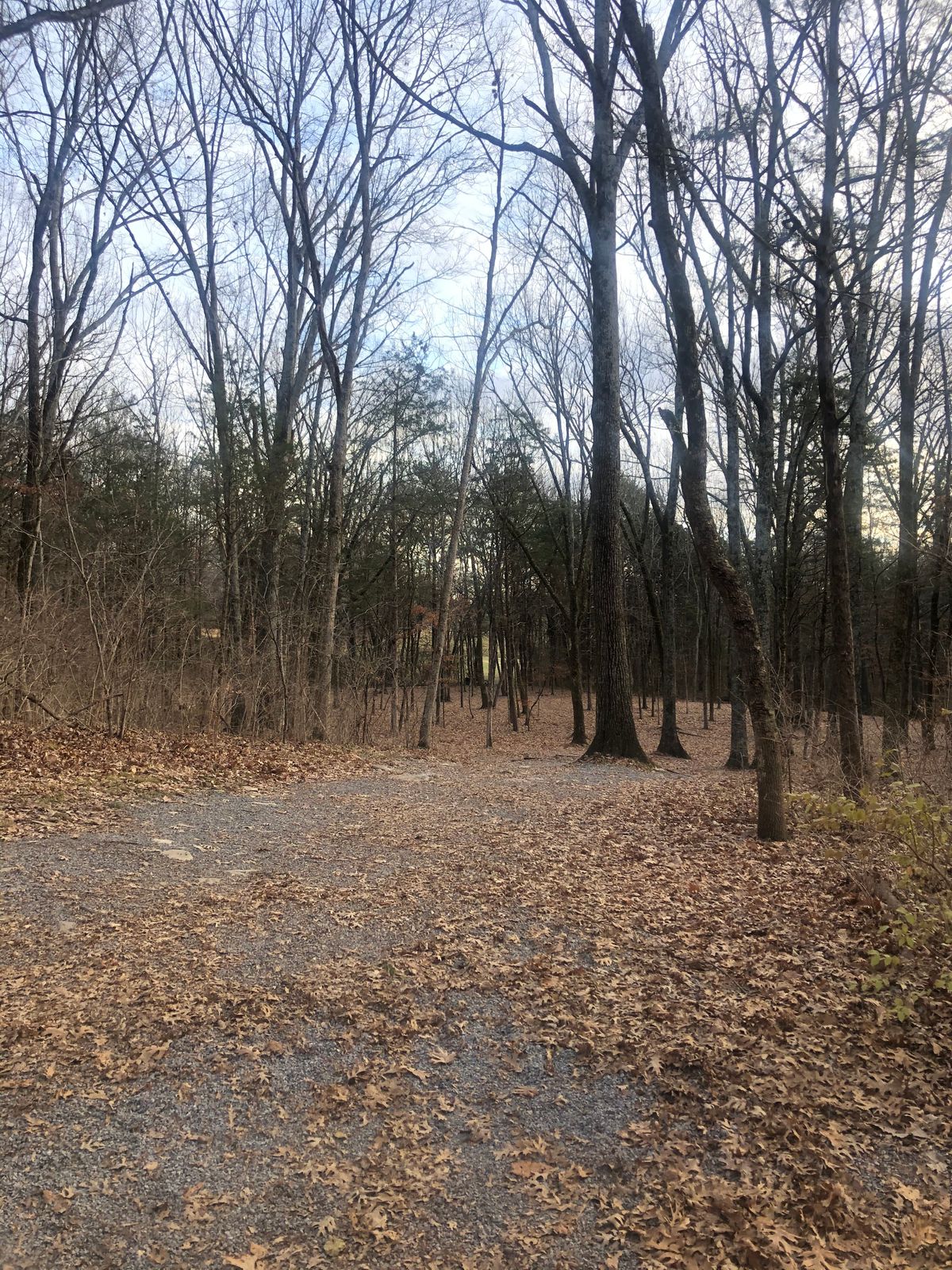 Hole 8
