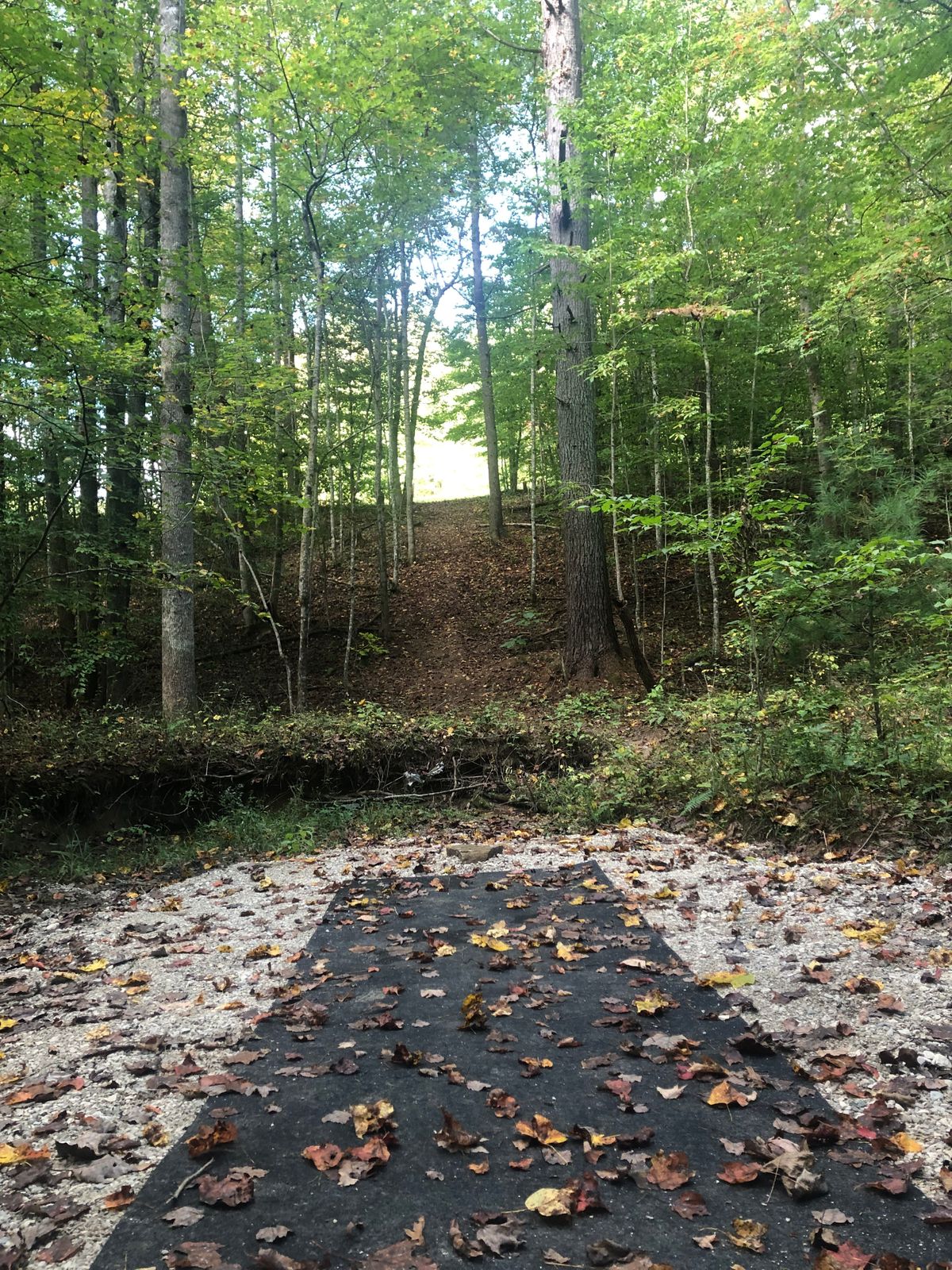 Hole 7 Tee pad . Plays up to the top of the hill
